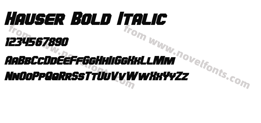 Hauser Bold ItalicPreview