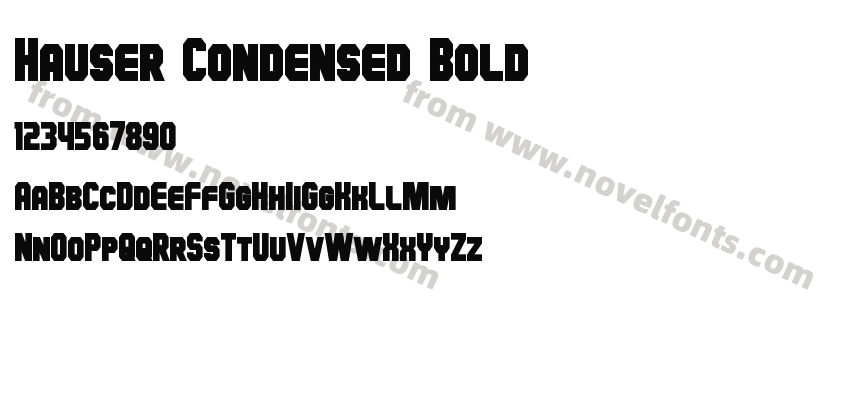 Hauser Condensed BoldPreview