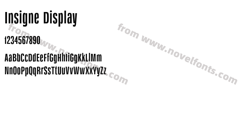 Insigne DisplayPreview