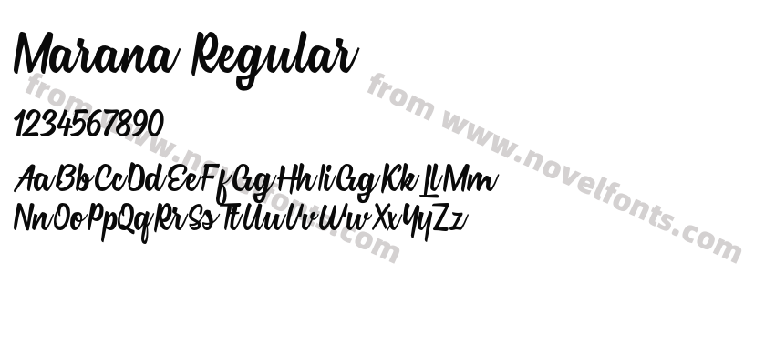 Marana RegularPreview