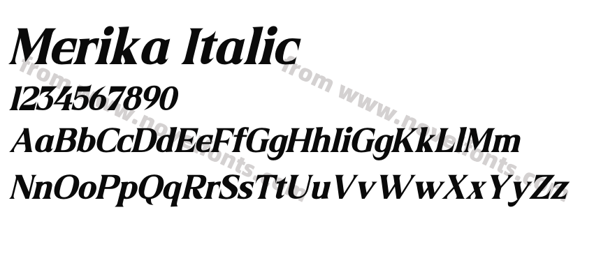 Merika ItalicPreview