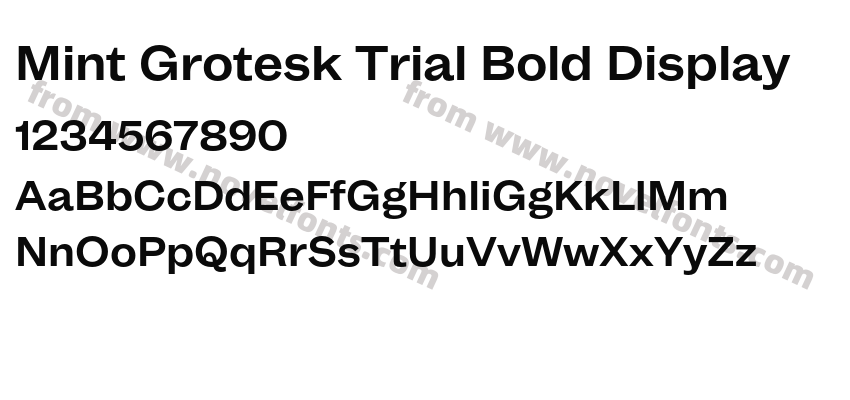 Mint Grotesk Trial Bold DisplayPreview