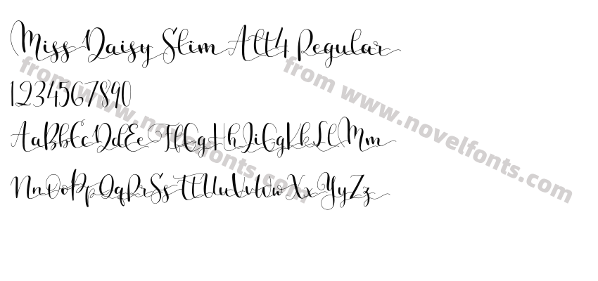 Miss Daisy Slim Alt4 RegularPreview