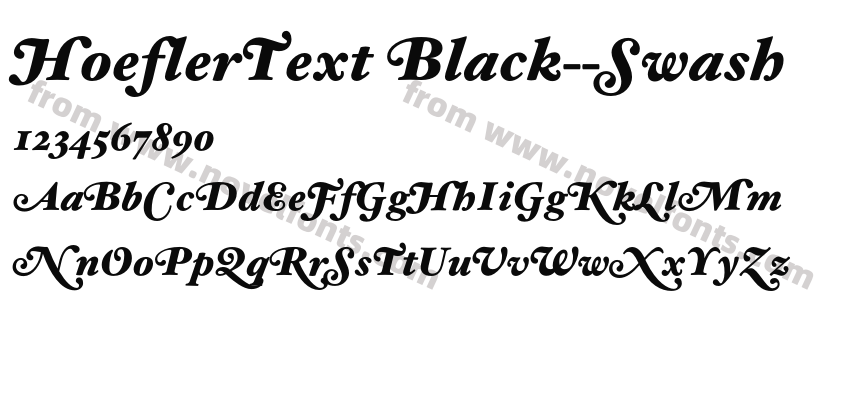 HoeflerText Black--SwashPreview