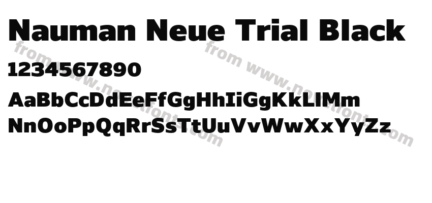 Nauman Neue Trial BlackPreview