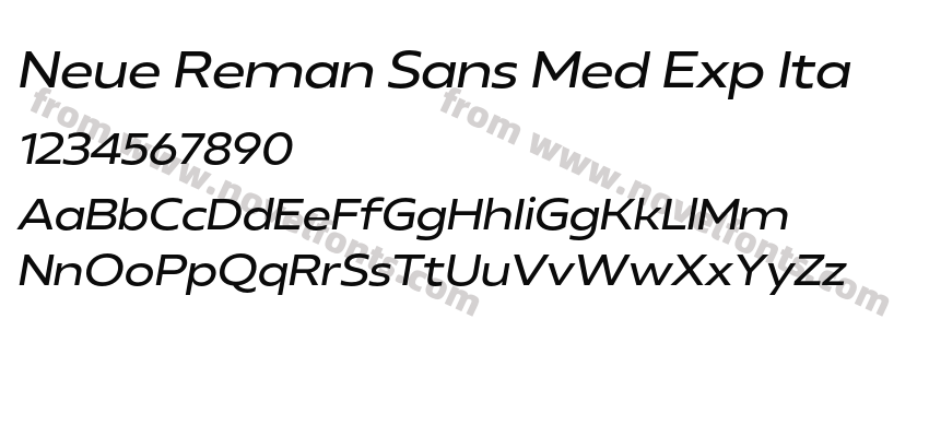 Neue Reman Sans Med Exp ItaPreview