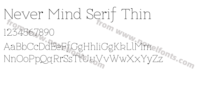 Never Mind Serif ThinPreview