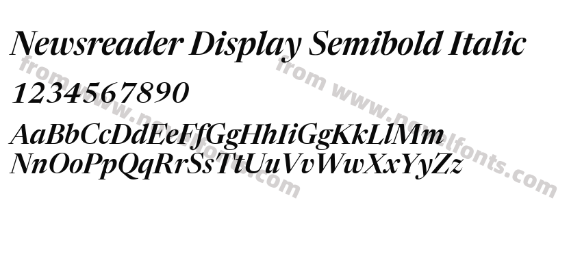 Newsreader Display Semibold ItalicPreview