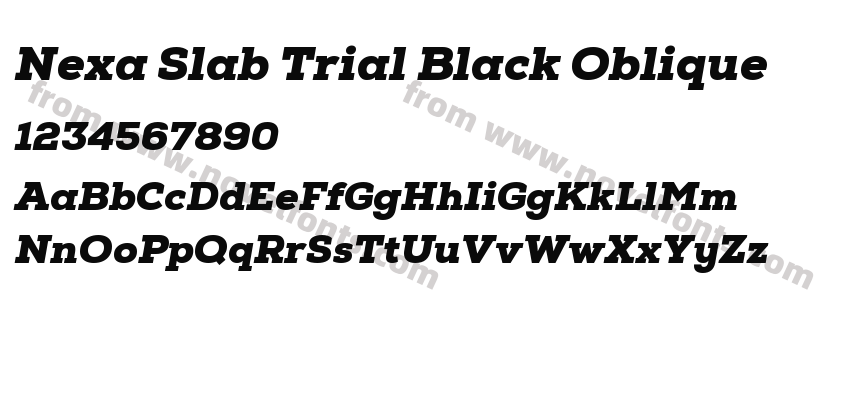 Nexa Slab Trial Black ObliquePreview