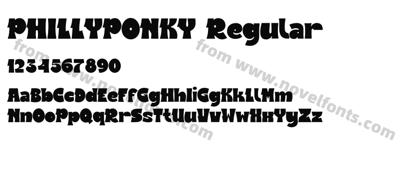 PHILLYPONKY RegularPreview