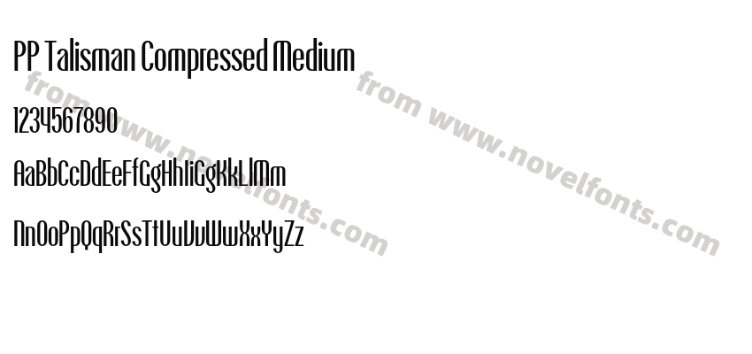 PP Talisman Compressed MediumPreview