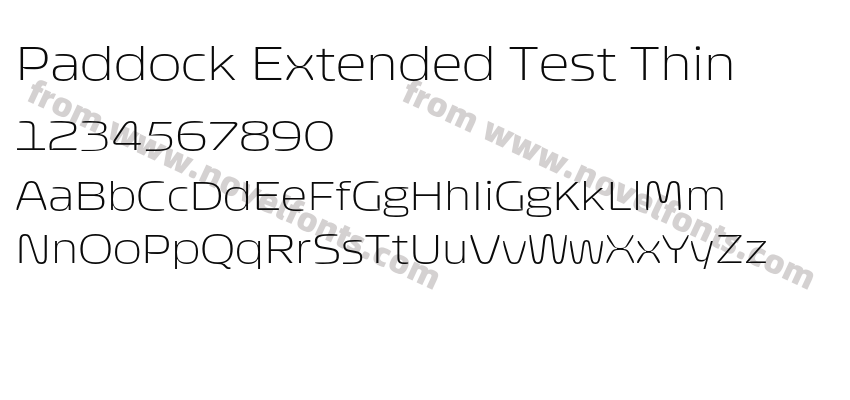 Paddock Extended Test ThinPreview