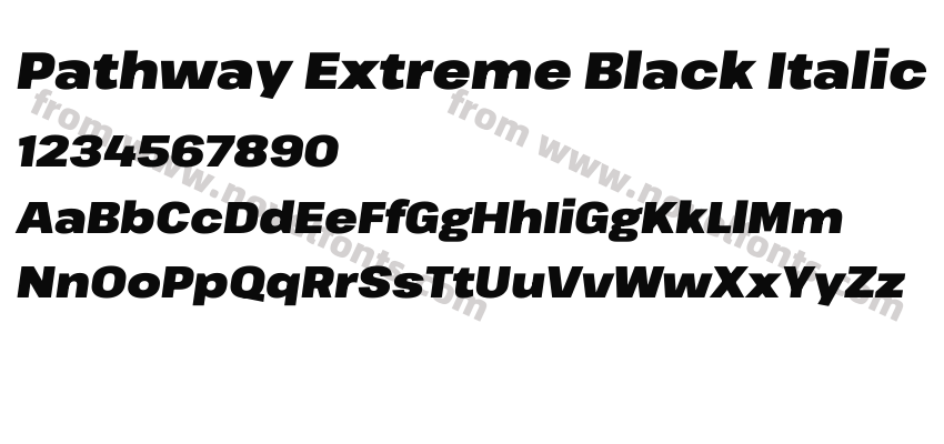 Pathway Extreme Black ItalicPreview