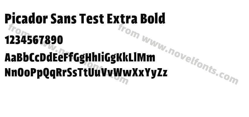 Picador Sans Test Extra BoldPreview
