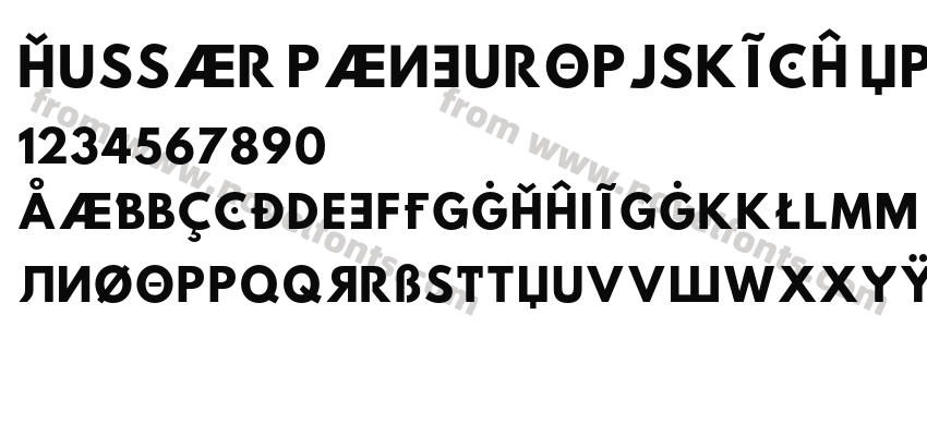 Hussar Paneuropjskich UppercasePreview