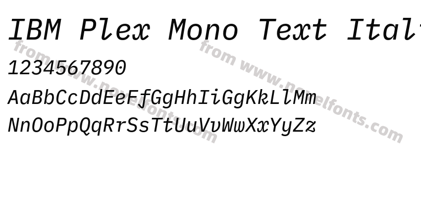 IBM Plex Mono Text ItalicPreview