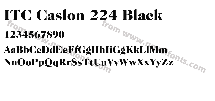 ITC Caslon 224 BlackPreview