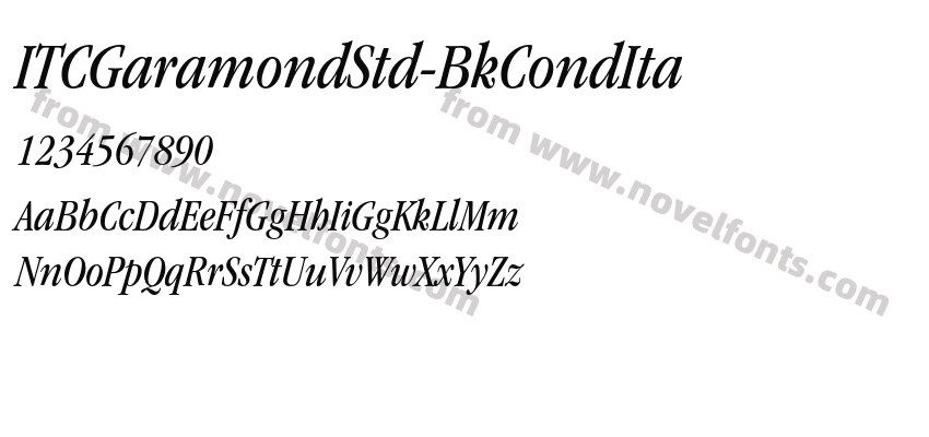 ITCGaramondStd-BkCondItaPreview