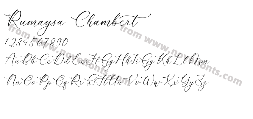 Rumaysa ChambertPreview