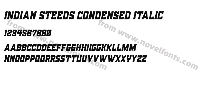 Indian Steeds Condensed ItalicPreview