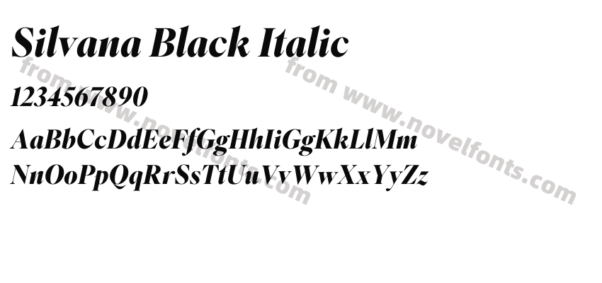 Silvana Black ItalicPreview