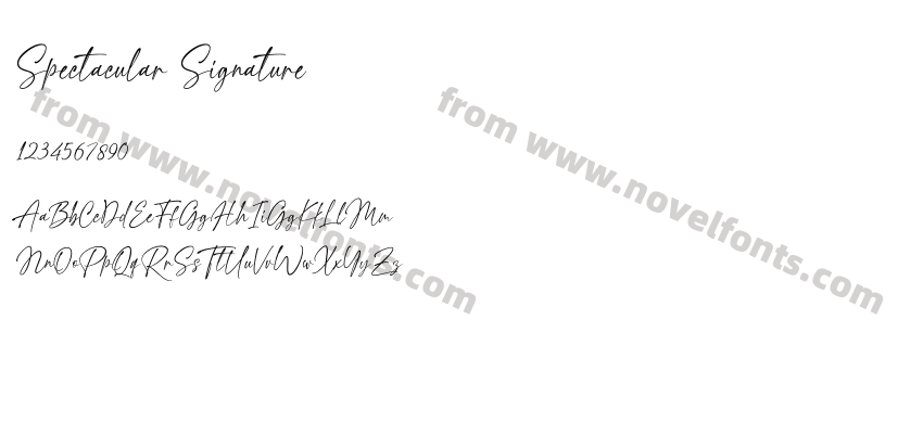Spectacular SignaturePreview