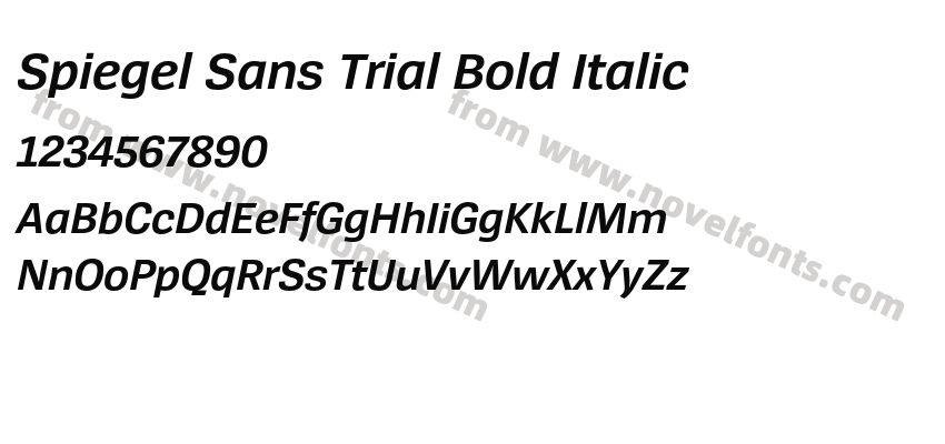 Spiegel Sans Trial Bold ItalicPreview