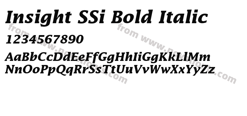 Insight S Si Bold ItalicPreview