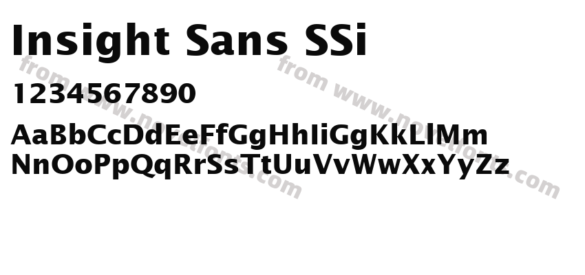 Insight Sans S Si BoldPreview