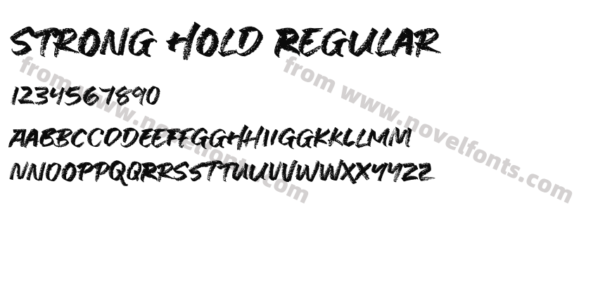 Strong Hold RegularPreview