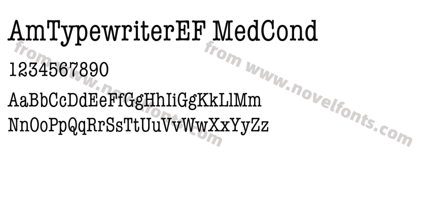 AmTypewriterEF MedCondPreview