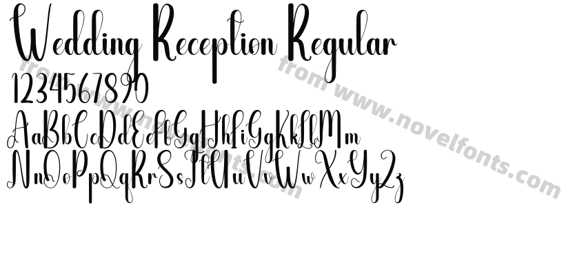 Wedding Reception RegularPreview