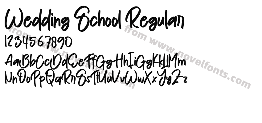Wedding School RegularPreview