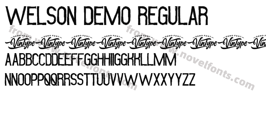 Welson Demo RegularPreview
