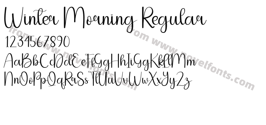Winter Morning RegularPreview