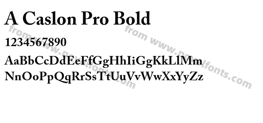 A Caslon Pro BoldPreview