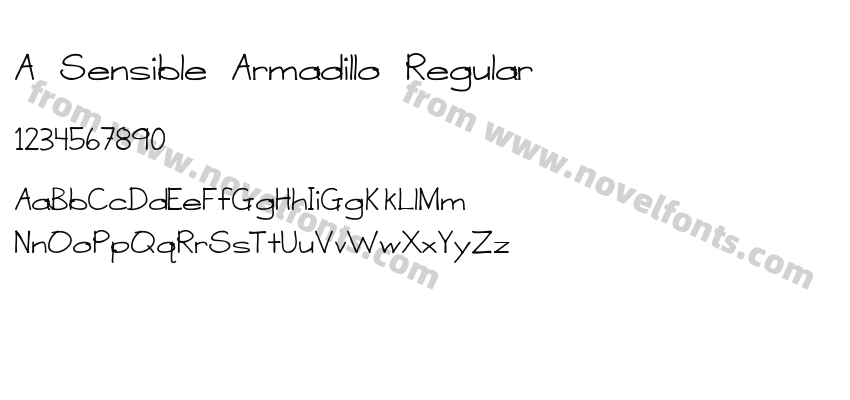 A Sensible Armadillo RegularPreview