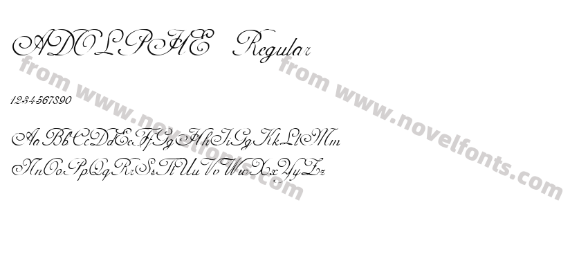 ADOLPHE RegularPreview