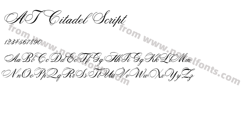AT Citadel ScriptPreview