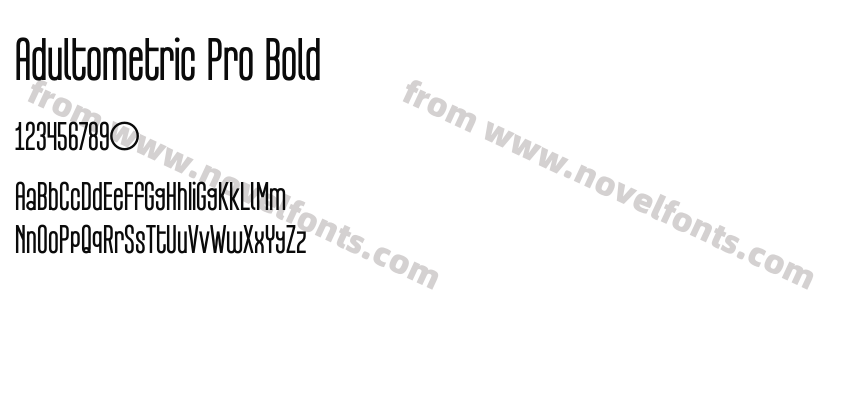 Adultometric Pro BoldPreview