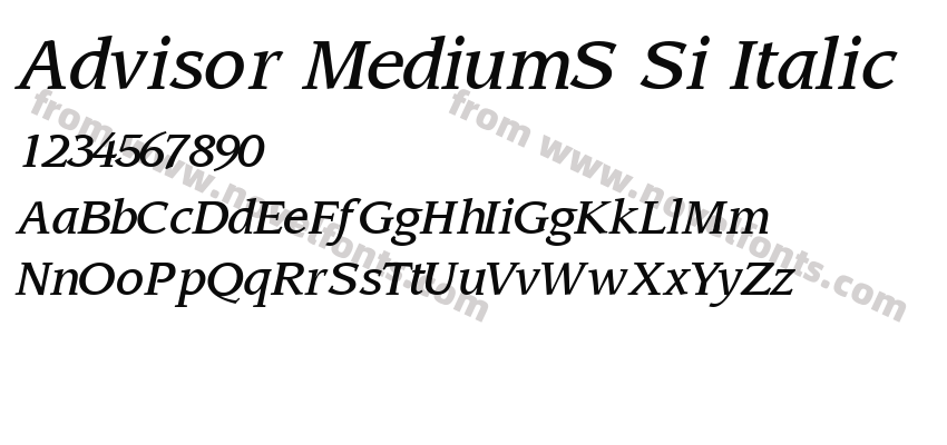 Advisor MediumS Si ItalicPreview