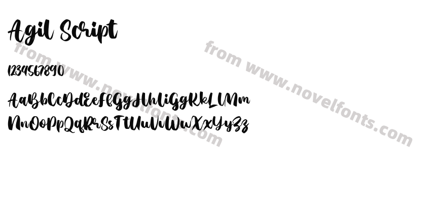 Agil ScriptPreview