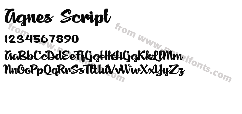 Agnes ScriptPreview