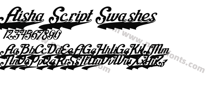 Aisha Script SwashesPreview