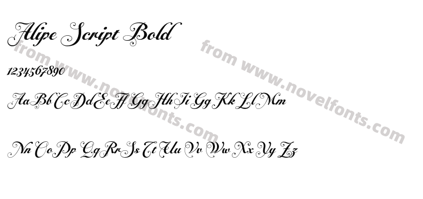 Alipe Script BoldPreview