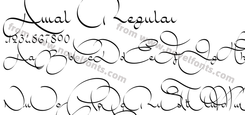 Amal RegularPreview