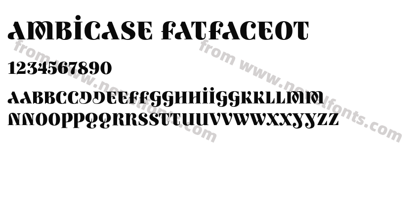 Ambicase FatfaceOTPreview
