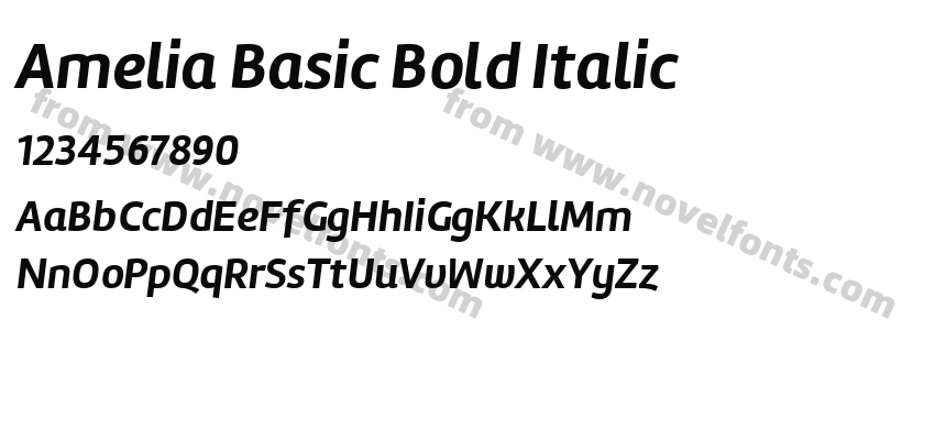 Amelia Basic Bold ItalicPreview