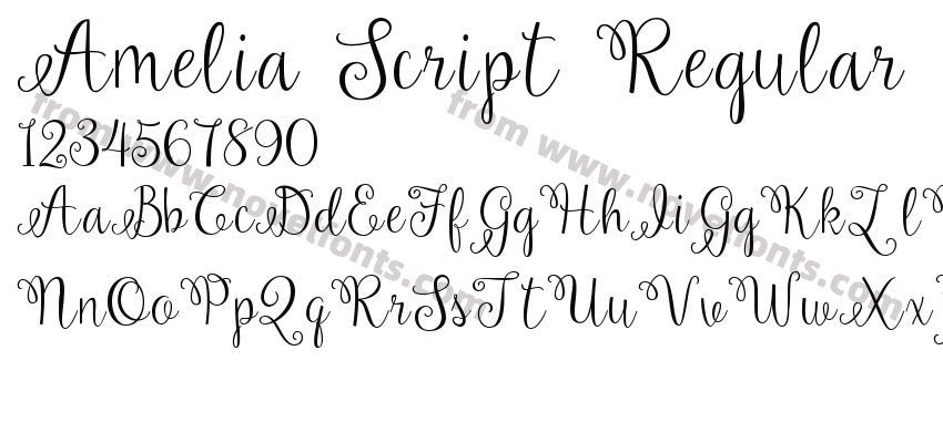 Amelia Script RegularPreview