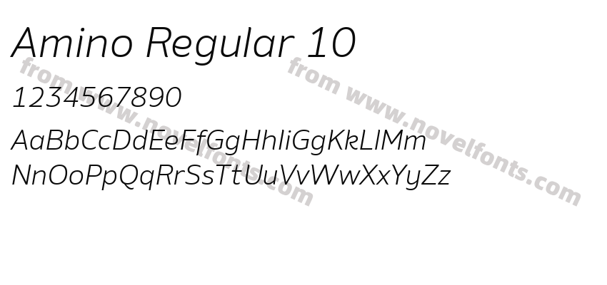 Amino Regular 10Preview